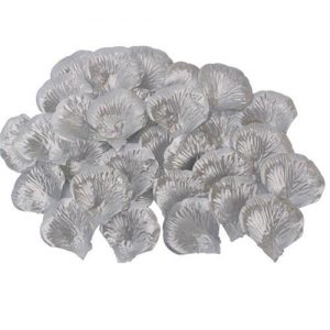 Rozenblaadjes zilver