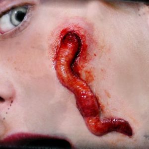 FX Transfers kit Worm