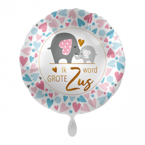 Folieballon Grote zus