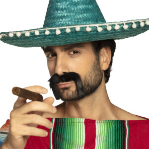 Mexicaans