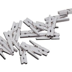 Wasknijpertjes zilver