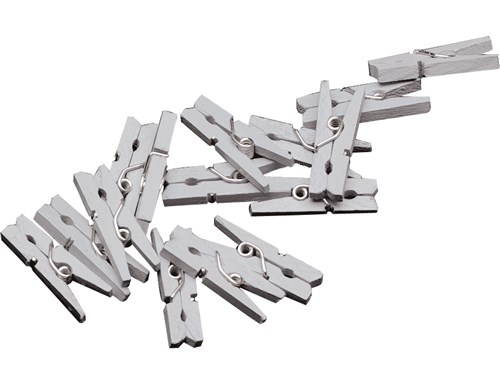 Wasknijpertjes zilver