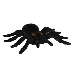 Decoratie Tarantula spider