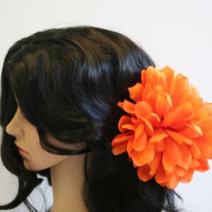 Haarklem oranje