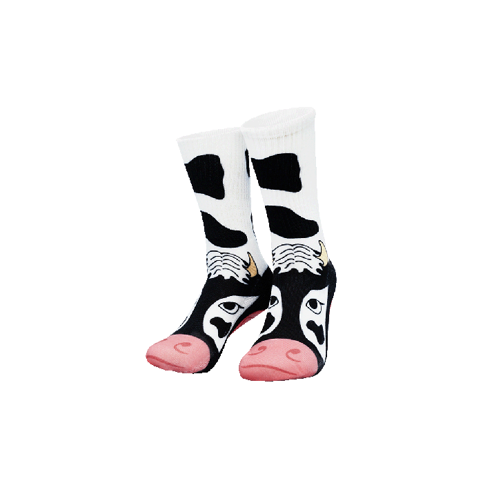 Silly socks (6 assorti)