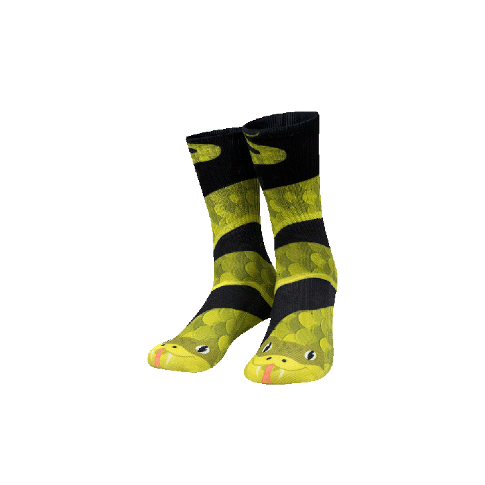 Silly socks (6 assorti)