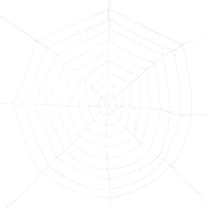 Spinnenweb